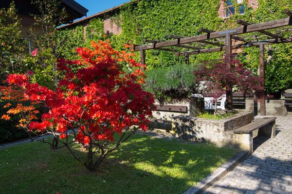 Foresteria Valdese Hotel Torre Pellice Luaran gambar