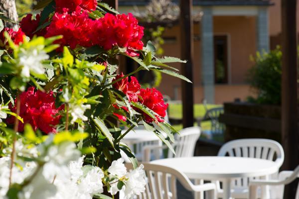 Foresteria Valdese Hotel Torre Pellice Luaran gambar